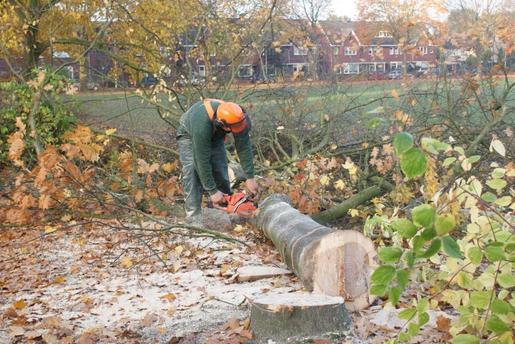 Bomen Kappen · F Vije Hoveniers En Bestratingsbedrijf